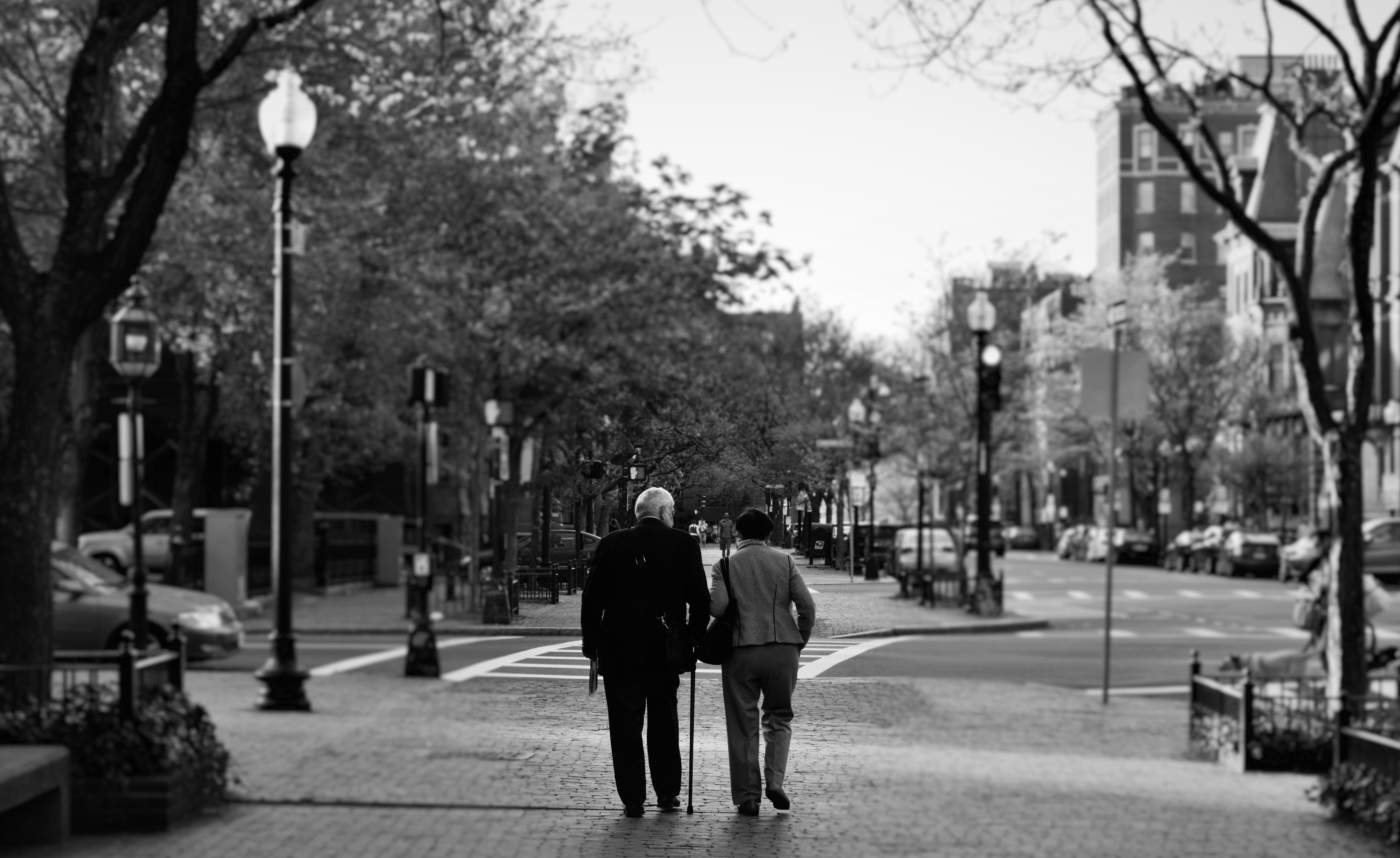 "Afternoon stroll" © Navroop Sahdev. All rights reserved.