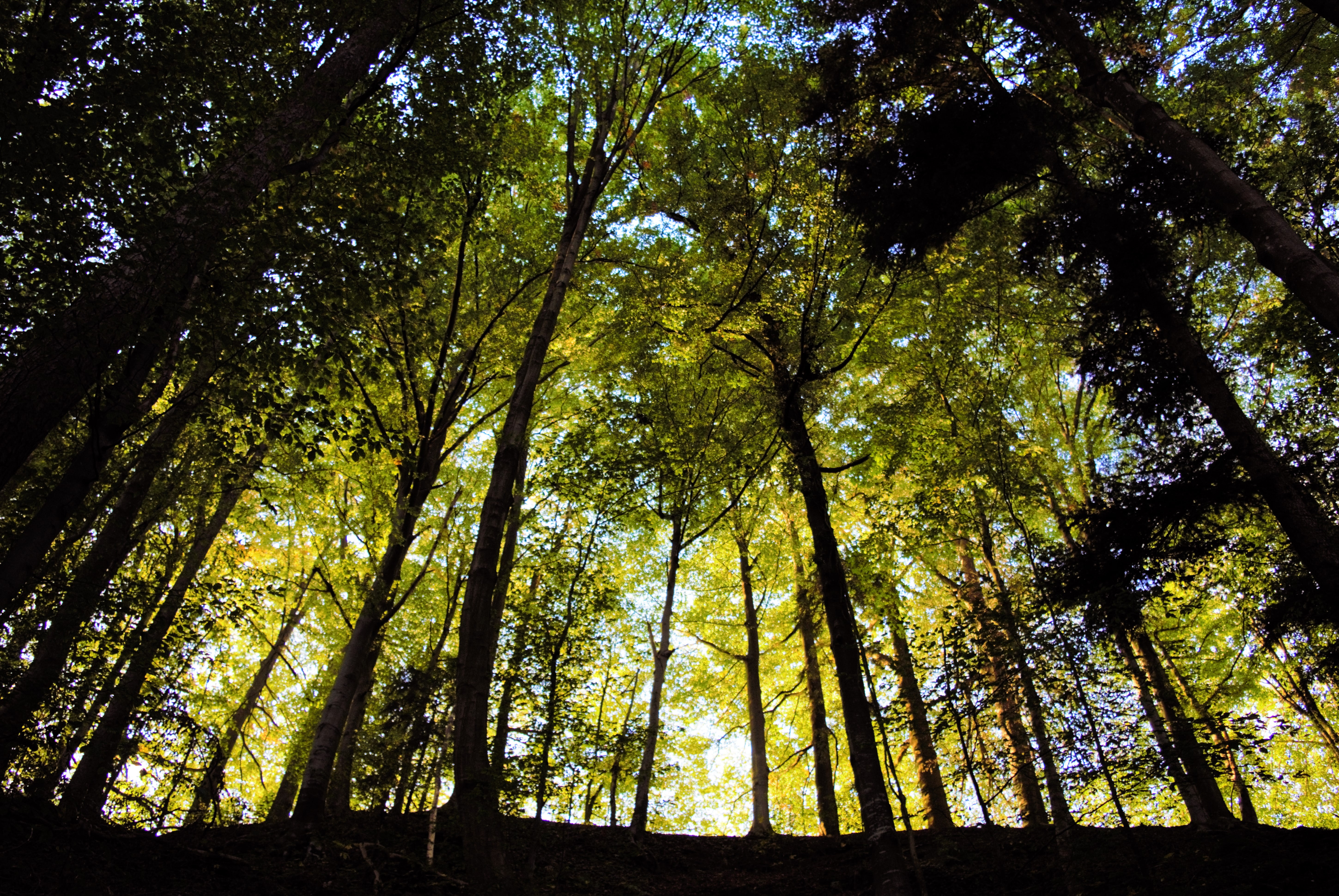 2015-10-08 Grunsberg 124