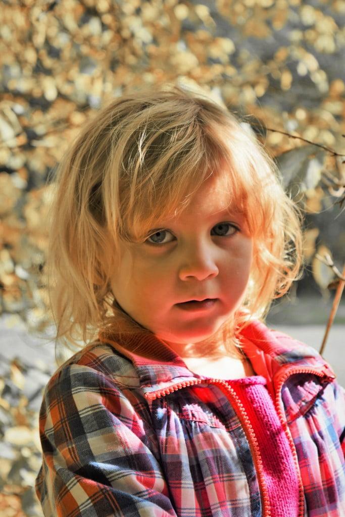 2015-10-09 Grunsberg 103 (3)