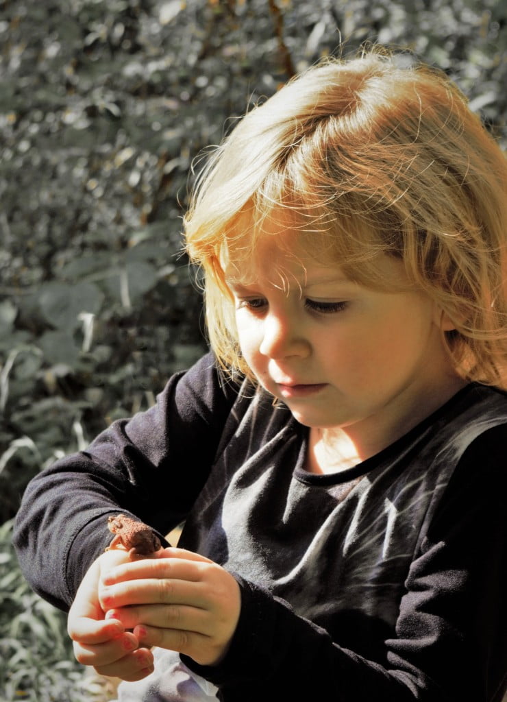 2015-10-09 Grunsberg 527 (2)