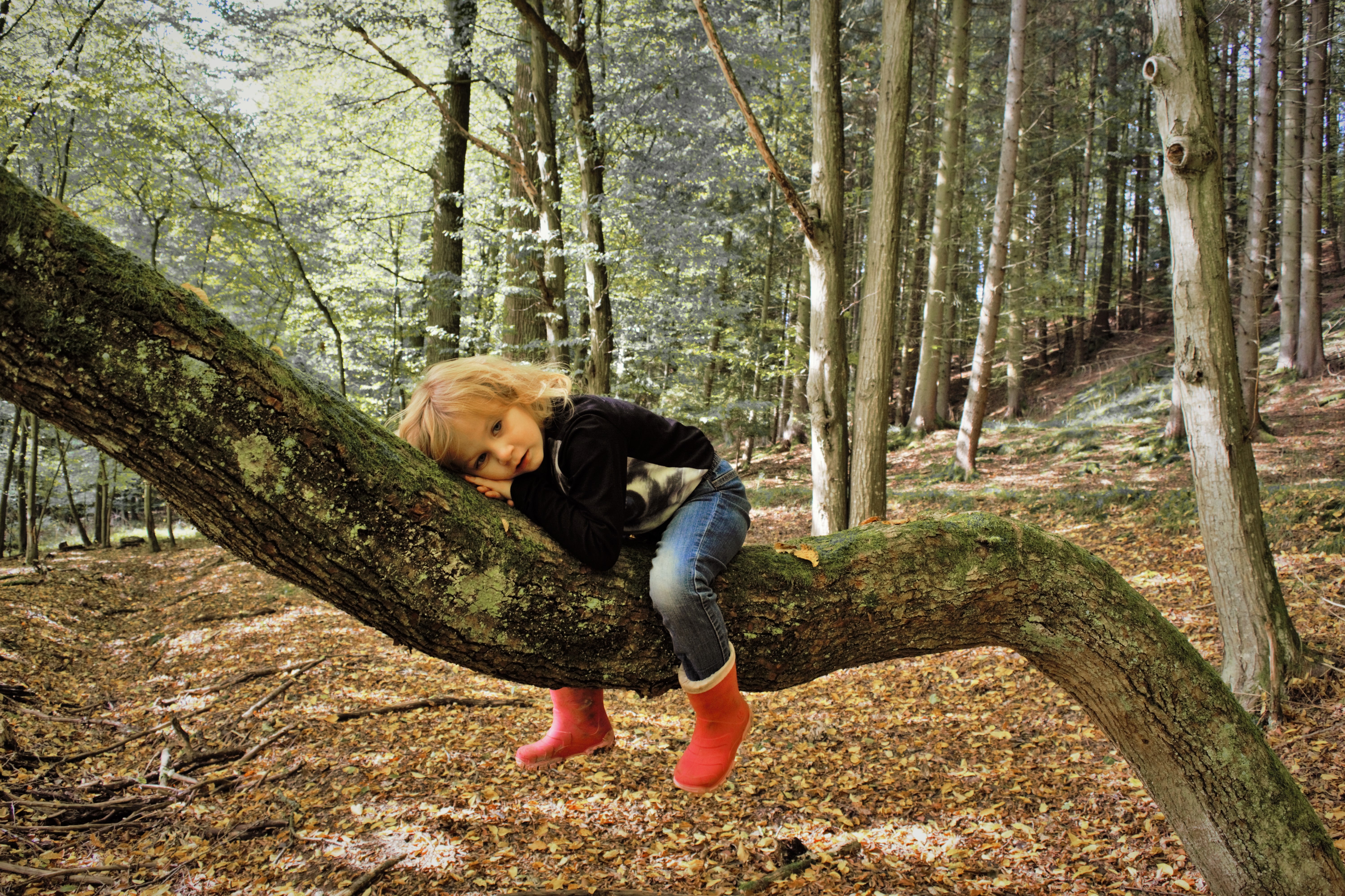 2015-10-09 Grunsberg 555