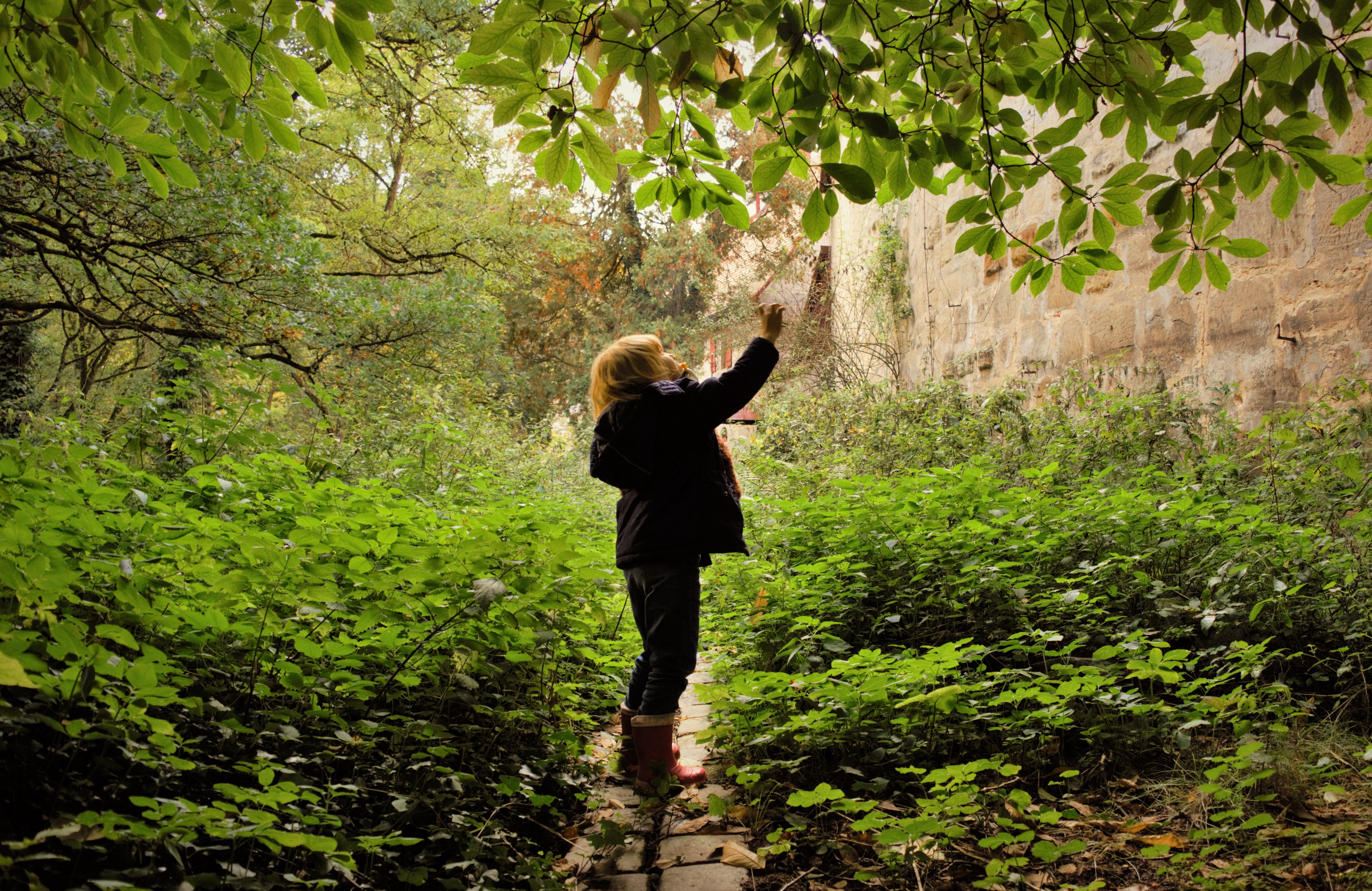 2015-10-09 Grunsberg 611